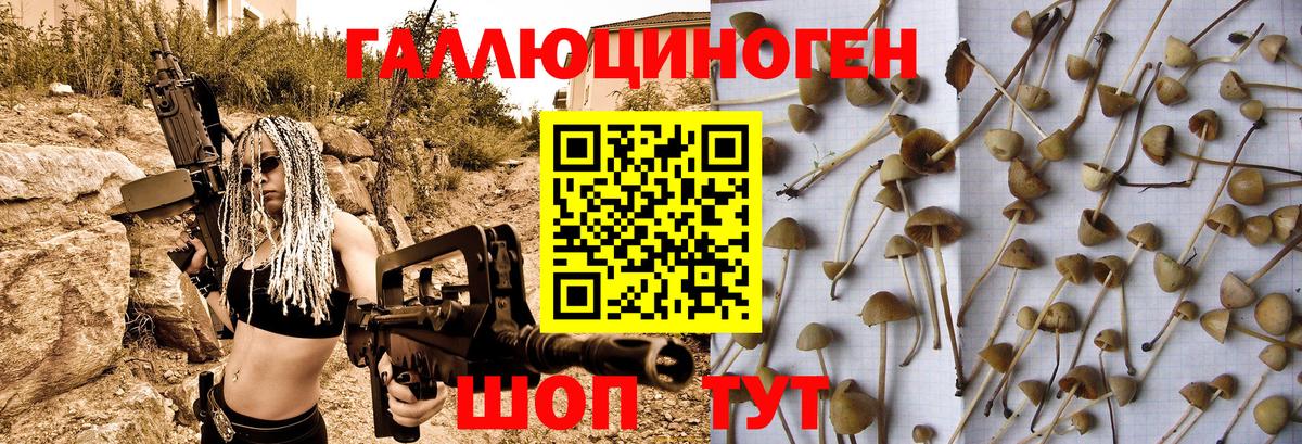 Галлюциногенные грибы прущие грибы  Псилоцибиновые грибы мицелий  Гулькевичи  Вход с VPN 